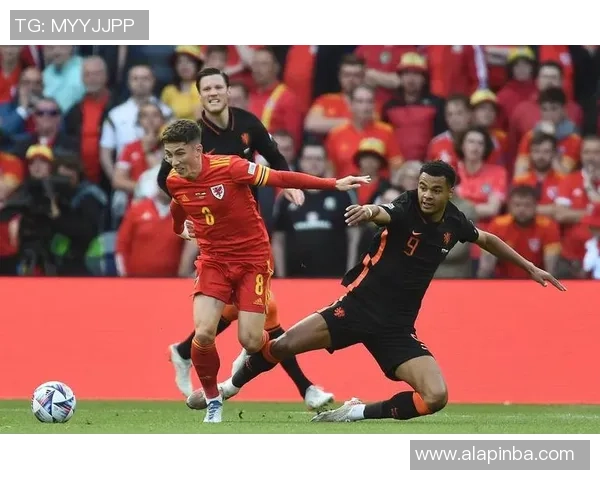 黑山足球明星风采：从国家队到欧洲赛场的闪耀之路